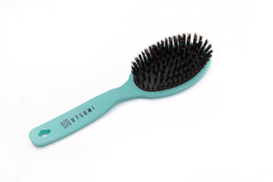 Bristle Brush